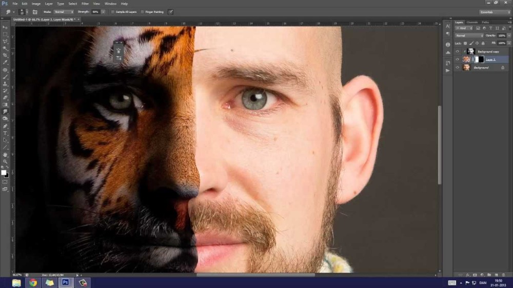 Human and lion face Photoshop